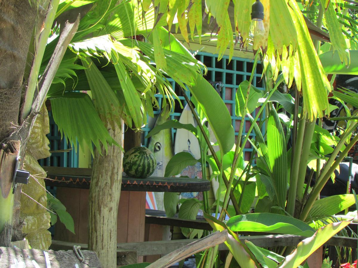 Coconut Hostel Bocas Town Zewnętrze zdjęcie