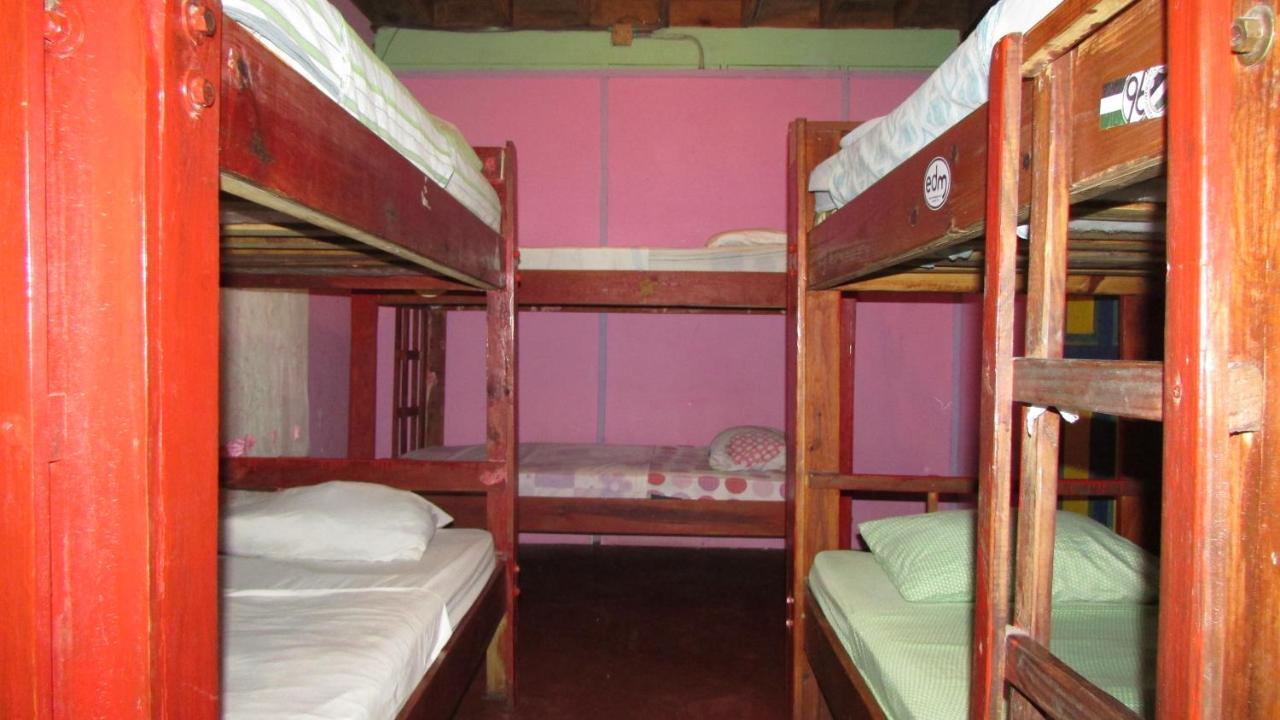 Coconut Hostel Bocas Town Zewnętrze zdjęcie