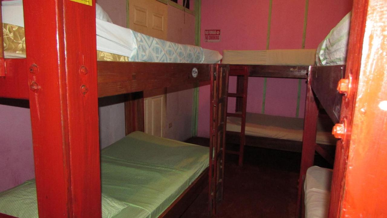 Coconut Hostel Bocas Town Zewnętrze zdjęcie