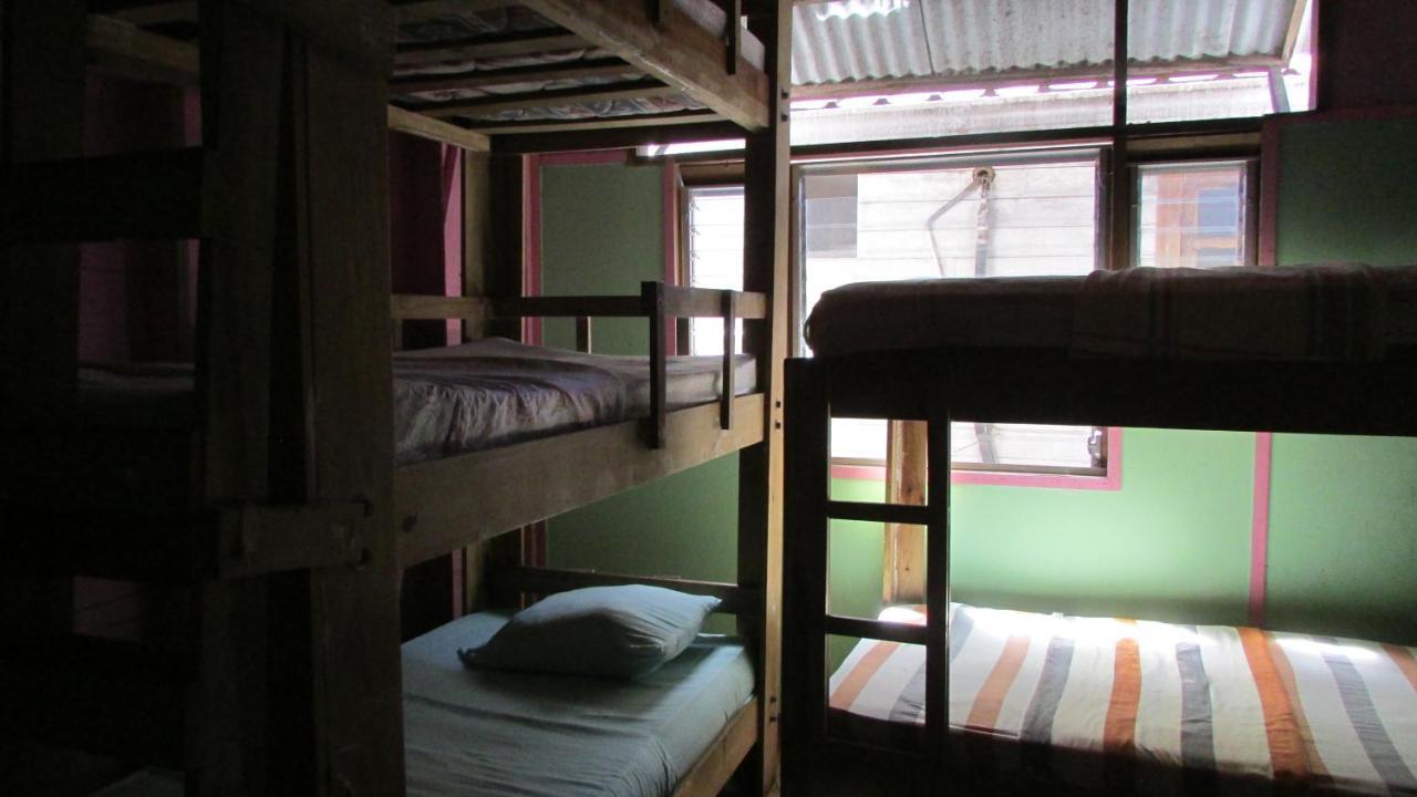 Coconut Hostel Bocas Town Zewnętrze zdjęcie
