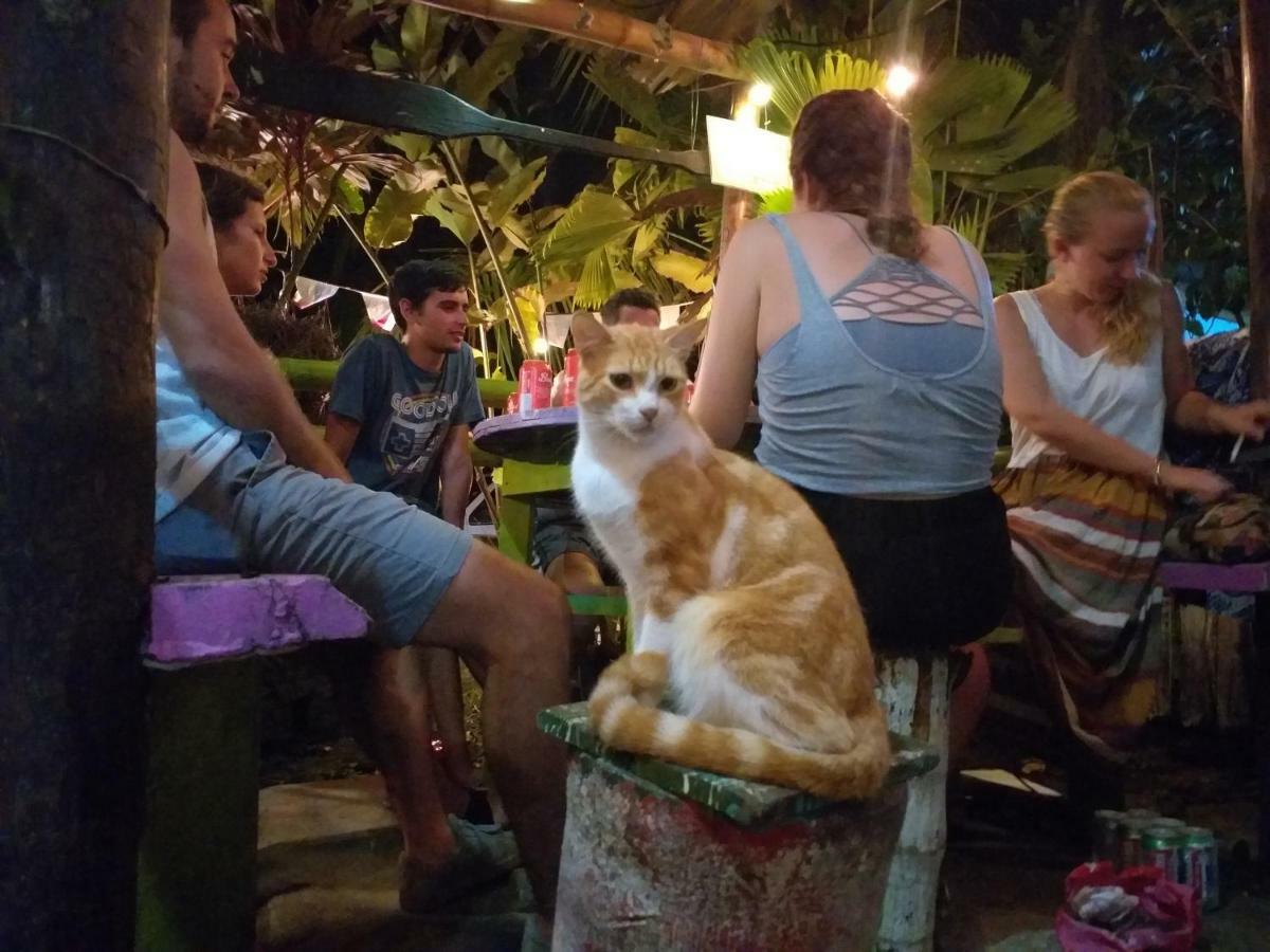 Coconut Hostel Bocas Town Zewnętrze zdjęcie