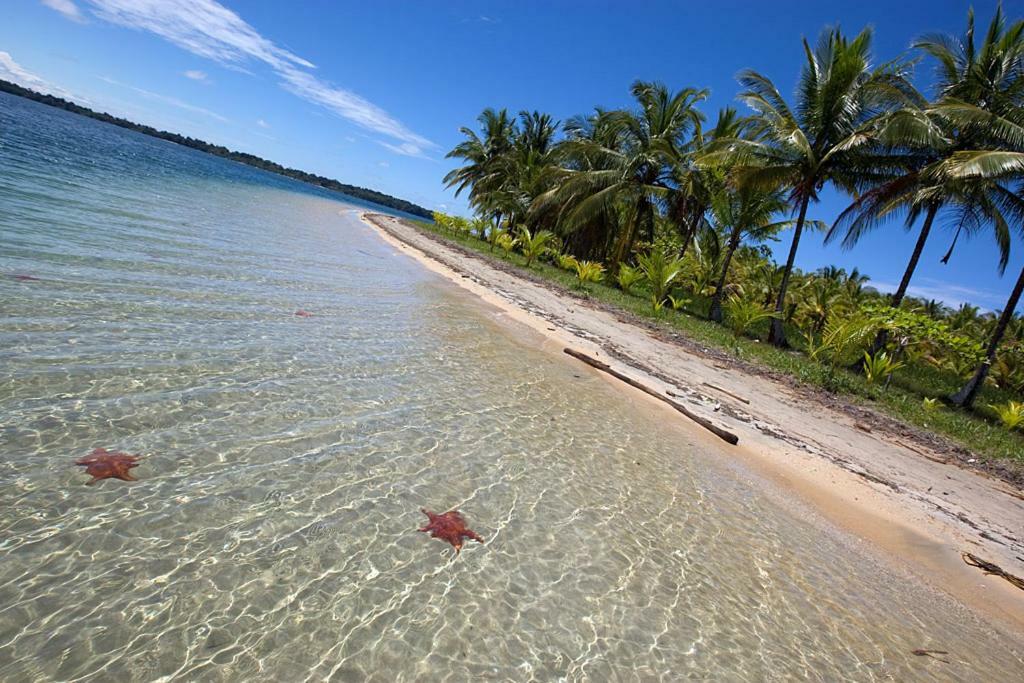 Coconut Hostel Bocas Town Zewnętrze zdjęcie