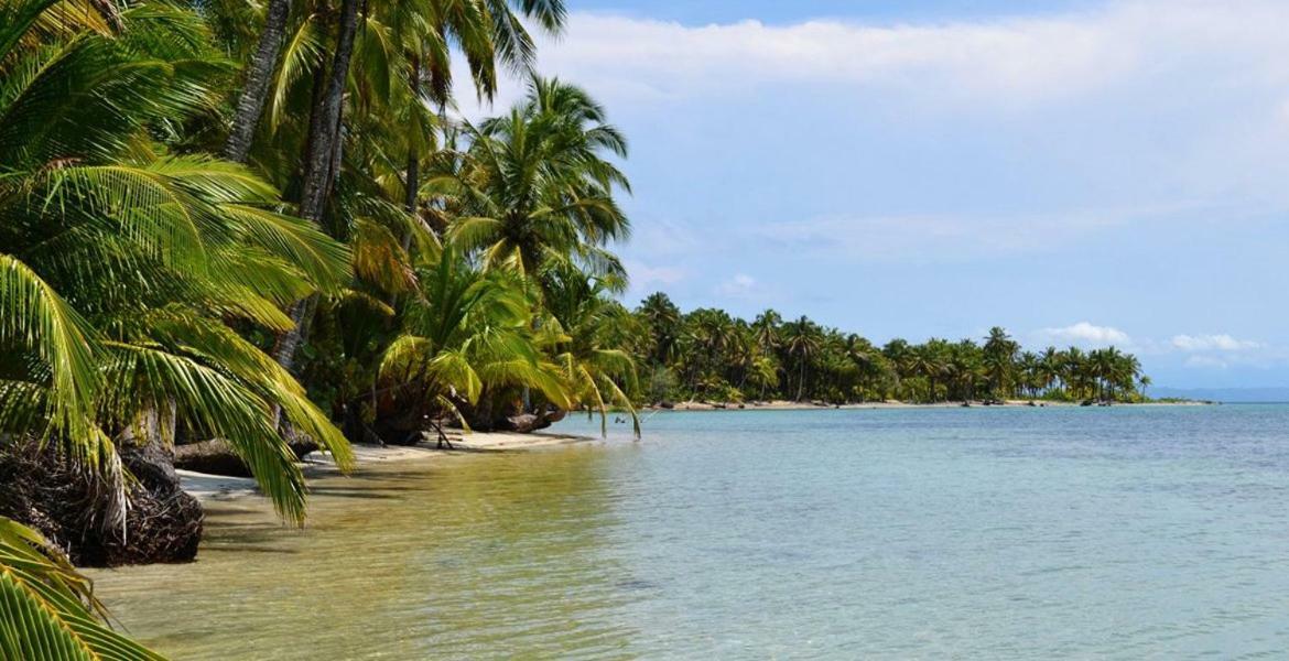 Coconut Hostel Bocas Town Zewnętrze zdjęcie