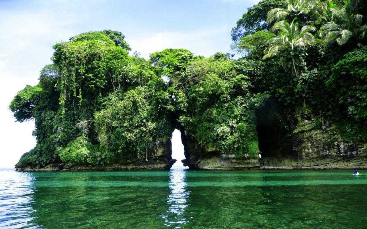 Coconut Hostel Bocas Town Zewnętrze zdjęcie