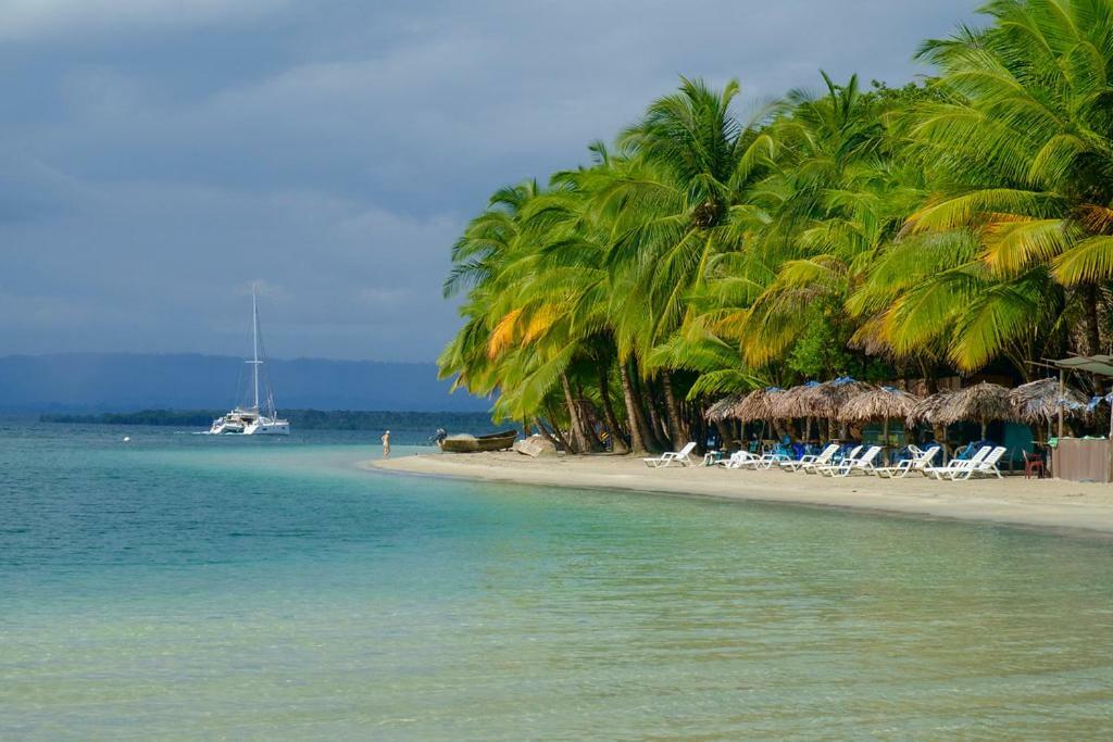 Coconut Hostel Bocas Town Zewnętrze zdjęcie