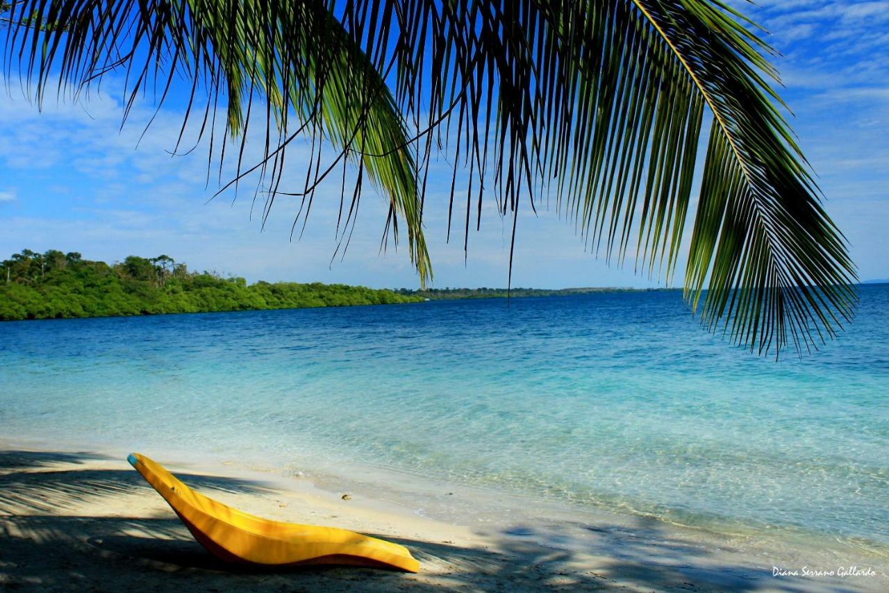 Coconut Hostel Bocas Town Zewnętrze zdjęcie